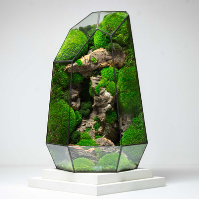 Large Preserved Terrarium, the Prism, for sale worldwide with free shipping from ome