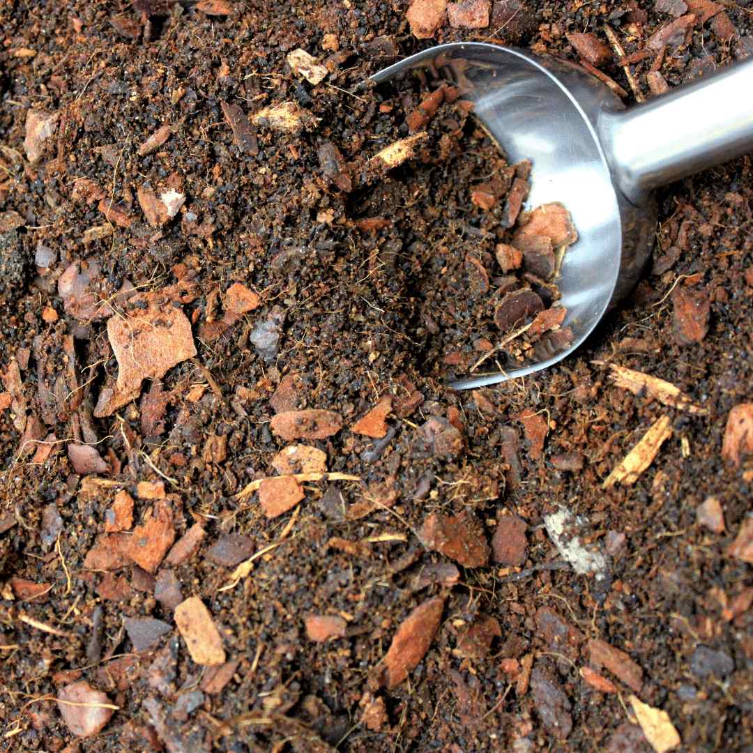 Terrarium soil for open pot. Bulk 2 3000ml 141989 – FittoniaMania