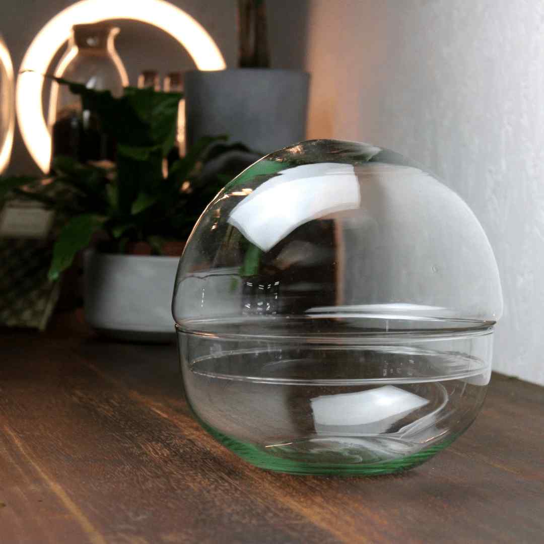 Globe terrarium glassware