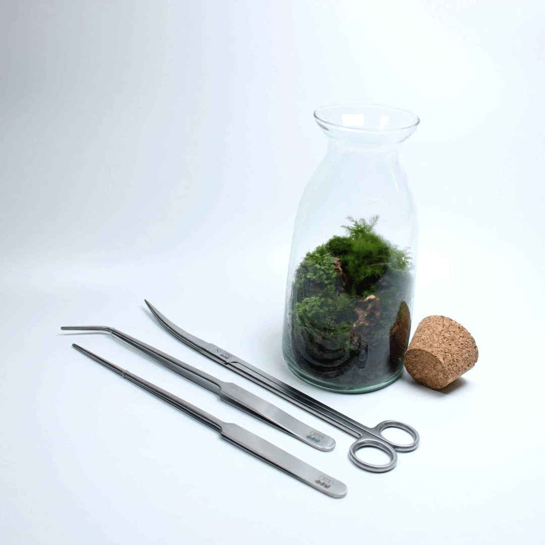 【ゆっこ】ペディグラス　モスキート・ケアツール Buy Terrarium Tool Kit | 3 Piece | For Sale | ome