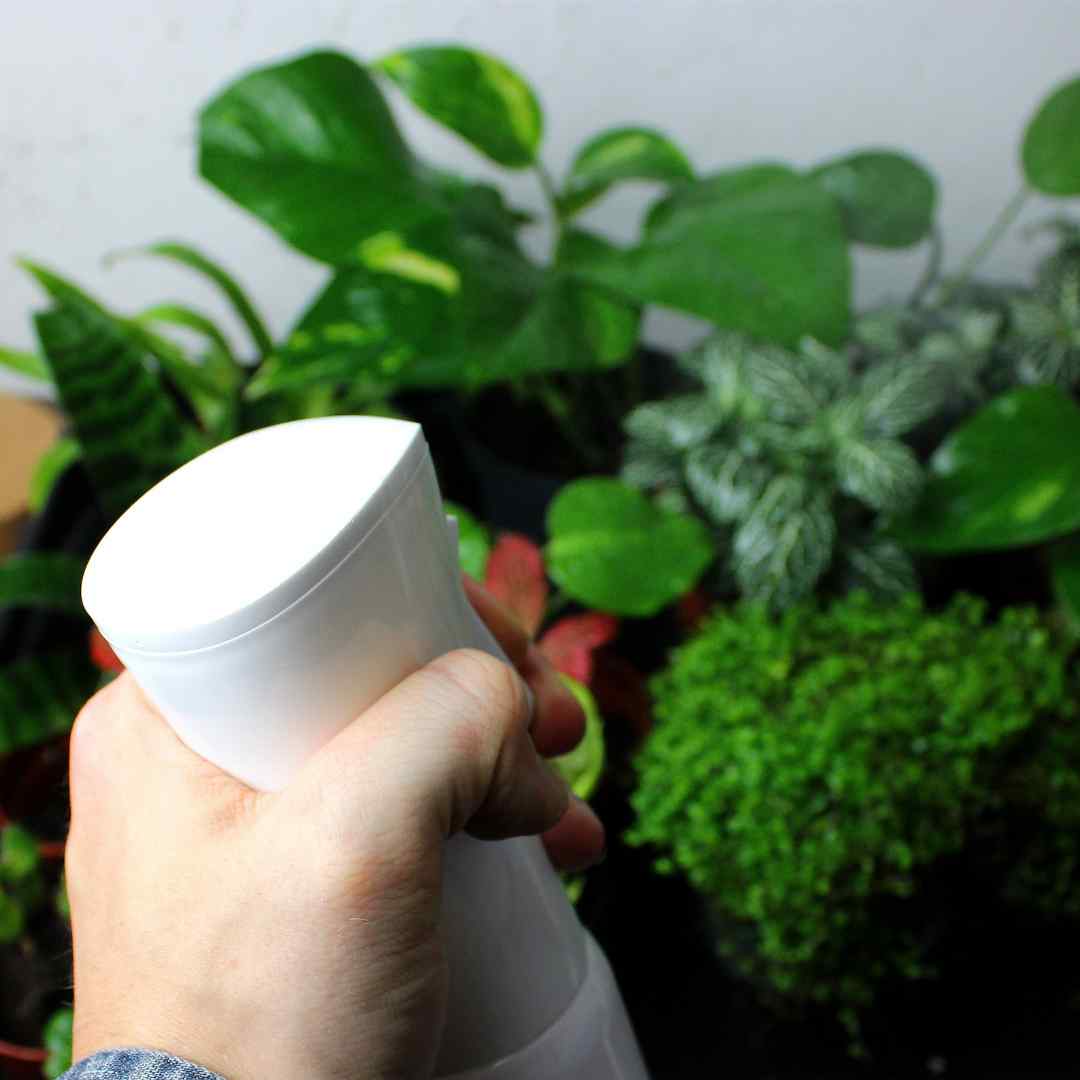 house plant mister spray Buy Continuous Spray Plant Mister | For Sale