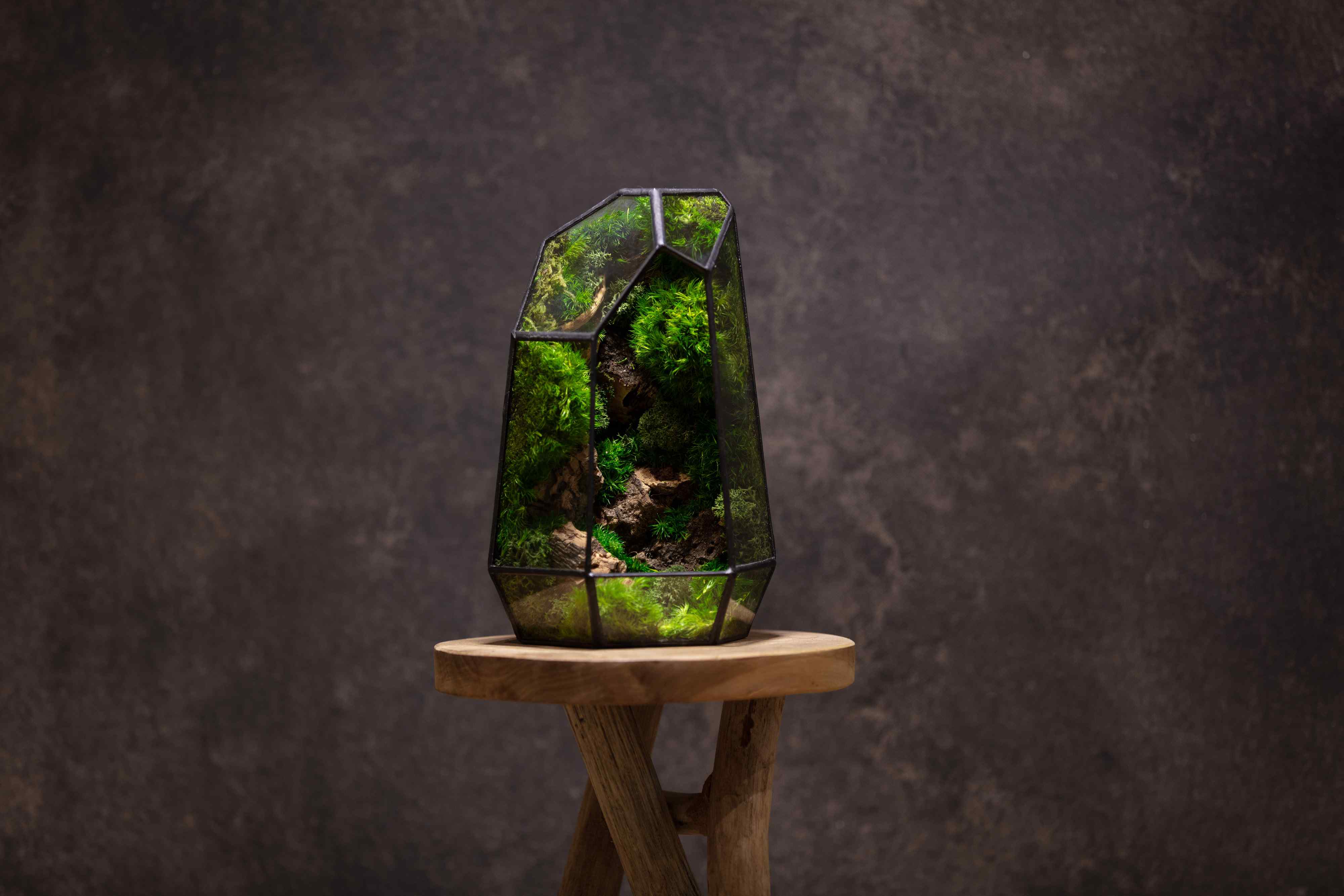 ome Classic Prism terrarium styled on a shelf